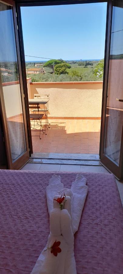 קסטנייטו קרדוצ'י Agriturismo Il Vecchio Olivo מראה חיצוני תמונה