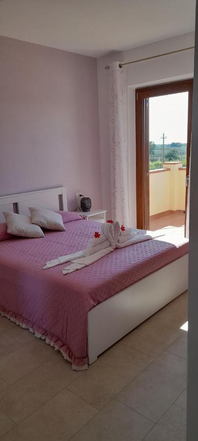 קסטנייטו קרדוצ'י Agriturismo Il Vecchio Olivo מראה חיצוני תמונה