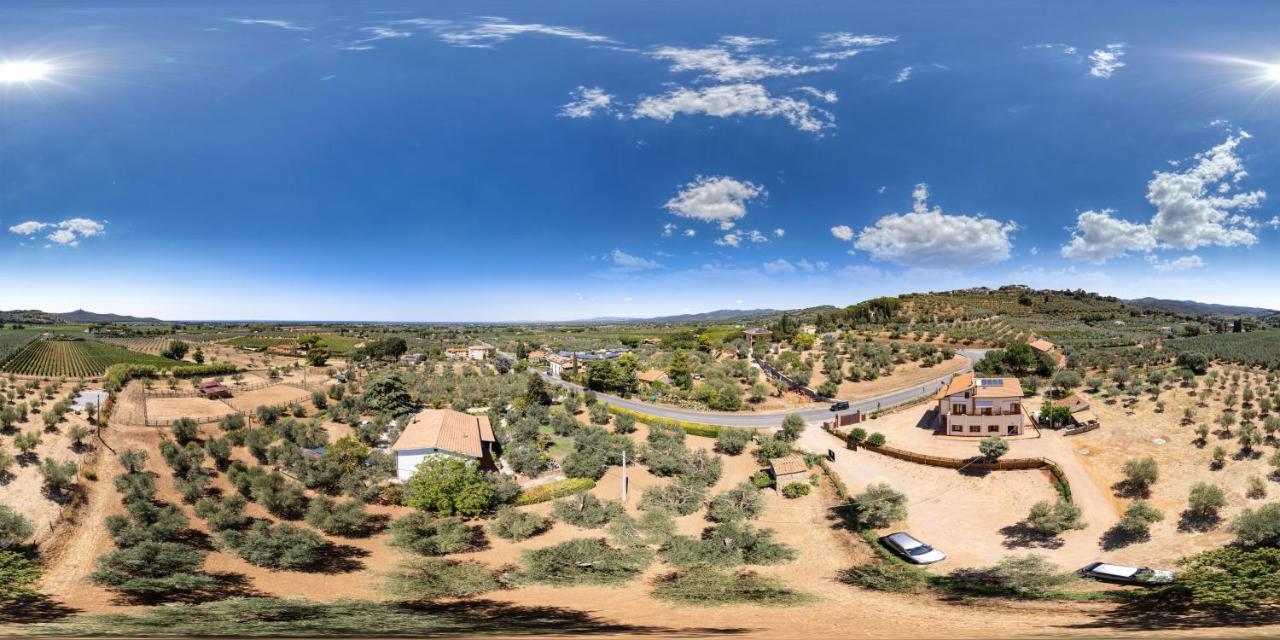 קסטנייטו קרדוצ'י Agriturismo Il Vecchio Olivo מראה חיצוני תמונה