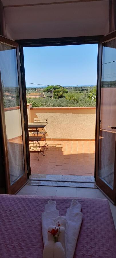 קסטנייטו קרדוצ'י Agriturismo Il Vecchio Olivo מראה חיצוני תמונה