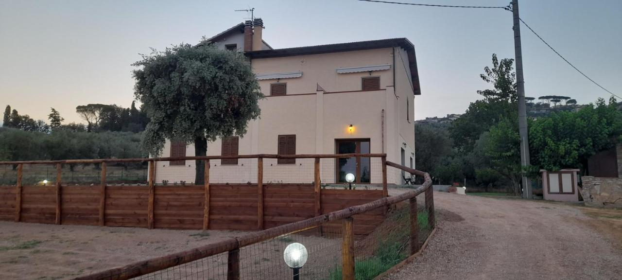 קסטנייטו קרדוצ'י Agriturismo Il Vecchio Olivo מראה חיצוני תמונה