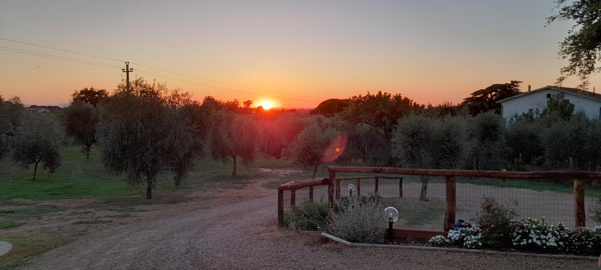 קסטנייטו קרדוצ'י Agriturismo Il Vecchio Olivo מראה חיצוני תמונה